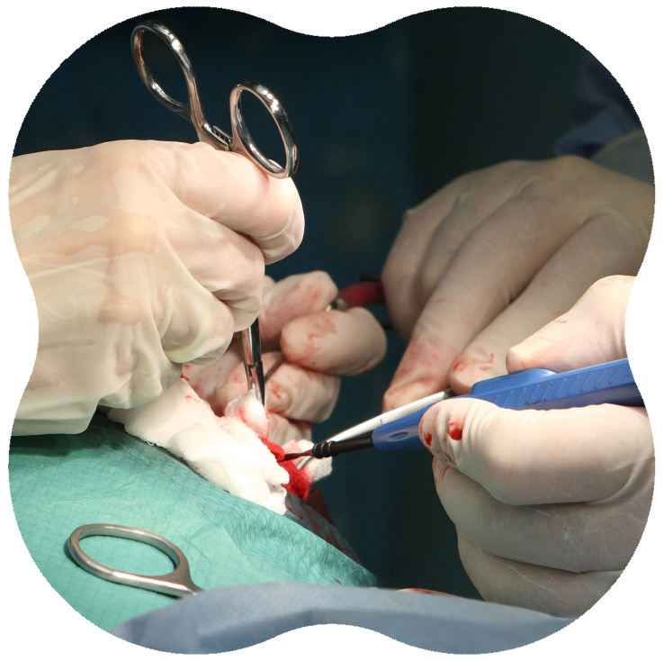 出来るだけ痛みを抑える